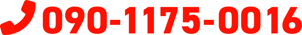 090-1175-0016